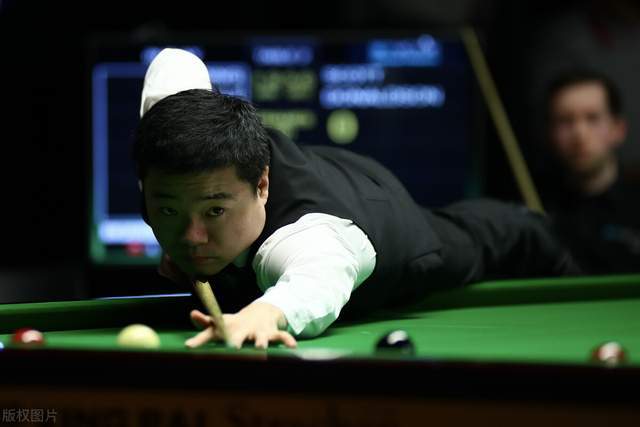 灰熊缺少莫 灰熊缺少莫